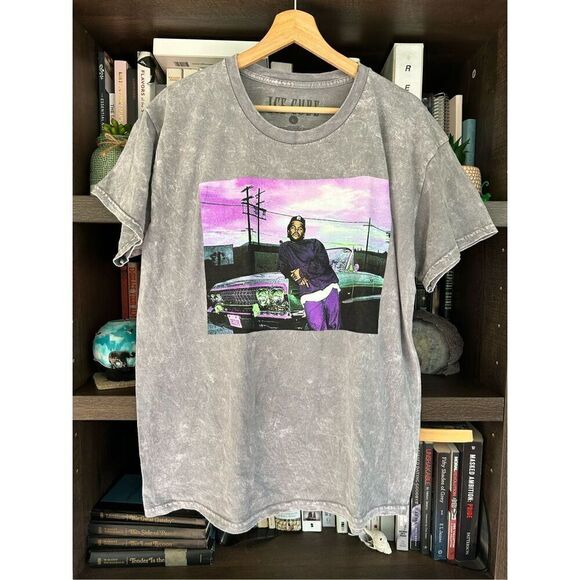 🐿️ NWOT Ice Cube Mineral Wash Grey Short Sleeve Graphic Tee Unisex Large - Picture 1 of 5